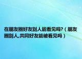在朋友圈好友别人能看见吗?（朋友圈别人,共同好友能被看见吗）