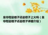 皇帝柑是橘子还是橙子上火吗（皇帝柑是橘子还是橙子详细介绍）