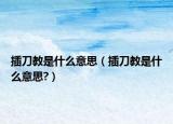 插刀教是什么意思（插刀教是什么意思?）
