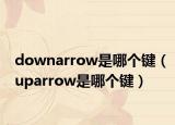 downarrow是哪个键（uparrow是哪个键）