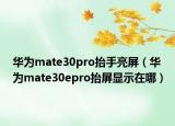 华为mate30pro抬手亮屏（华为mate30epro抬屏显示在哪）