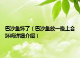 巴沙鱼坏了（巴沙鱼放一晚上会坏吗详细介绍）
