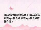 ios14设置apn接入点（ios15怎么设置apn接入点 设置apn接入点教程介绍）