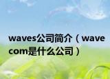 waves公司简介（wavecom是什么公司）