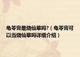 龟苓膏是烧仙草吗?（龟苓膏可以当烧仙草吗详细介绍）