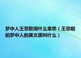梦中人王菲歌词什么意思（王菲唱的梦中人的英文版叫什么）