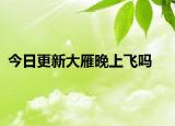 今日更新大雁晚上飞吗