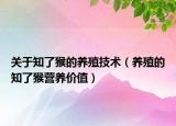 关于知了猴的养殖技术（养殖的知了猴营养价值）