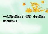 什么宫的歌曲（《宫》中的歌曲都有哪些）