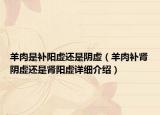 羊肉是补阳虚还是阴虚（羊肉补肾阴虚还是肾阳虚详细介绍）
