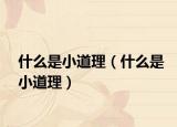 什么是小道理（什么是小道理）