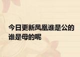 今日更新凤凰谁是公的谁是母的呢