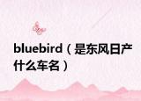 bluebird（是东风日产什么车名）