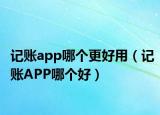记账app哪个更好用（记账APP哪个好）
