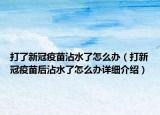 打了新冠疫苗沾水了怎么办（打新冠疫苗后沾水了怎么办详细介绍）