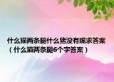 什么猫两条腿什么猪没有嘴求答案（什么猫两条腿6个字答案）