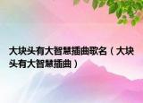 大块头有大智慧插曲歌名（大块头有大智慧插曲）