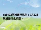 ca1402航班是什机型（CA124航班是什么机型）