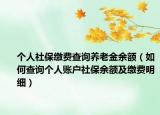 个人社保缴费查询养老金余额（如何查询个人账户社保余额及缴费明细）