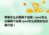 苹果怎么分屏两个应用（ipad怎么分屏两个应用 ipad怎么实现左右分屏介绍）
