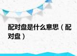 配对盘是什么意思（配对盘）