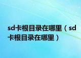 sd卡根目录在哪里（sd卡根目录在哪里）