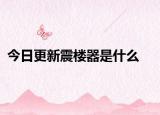 今日更新震楼器是什么