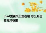 ipad麦克风设置在哪 怎么开启麦克风权限