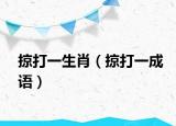 掠打一生肖（掠打一成语）