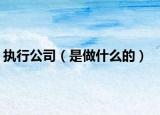 执行公司（是做什么的）