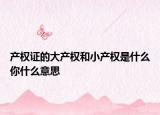 产权证的大产权和小产权是什么你什么意思