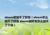 steam里加不了好友（steam怎么加不了好友 steam加好友怎么加不了介绍）