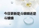今日更新是斗蝈蝈还是斗蛐蛐