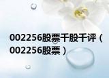 002256股票千股千评（002256股票）