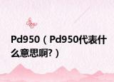 Pd950（Pd950代表什么意思啊?）