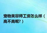 宠物美容师工资怎么样（高不高呢?）