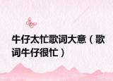 牛仔太忙歌词大意（歌词牛仔很忙）