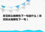忽见陌头杨柳色下一句是什么（忽见陌头杨柳色下一句）