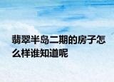 翡翠半岛二期的房子怎么样谁知道呢