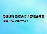 爱情转移 歌词含义（爱情转移歌词真正含义的什么）