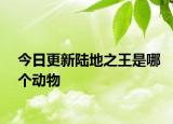今日更新陆地之王是哪个动物
