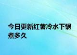 今日更新红薯冷水下锅煮多久