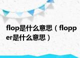 flop是什么意思（flopper是什么意思）