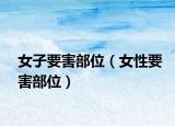 女子要害部位（女性要害部位）