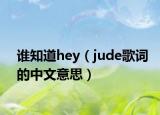 谁知道hey（jude歌词的中文意思）