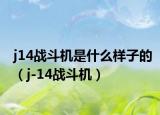 j14战斗机是什么样子的（j-14战斗机）