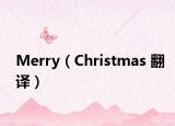 Merry（Christmas 翻译）