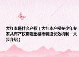 大红本是什么产权（大红本产权多少年专家共有产权房迈出楼市调控长效机制一大步介绍）