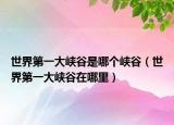 世界第一大峡谷是哪个峡谷（世界第一大峡谷在哪里）