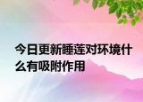 今日更新睡莲对环境什么有吸附作用
